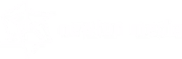 Newton Media