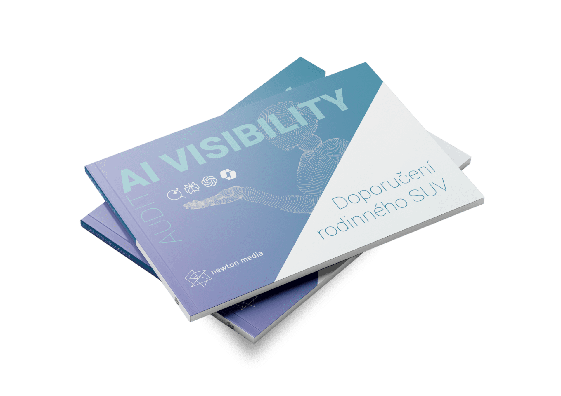 Ukázková AI visibility analýza